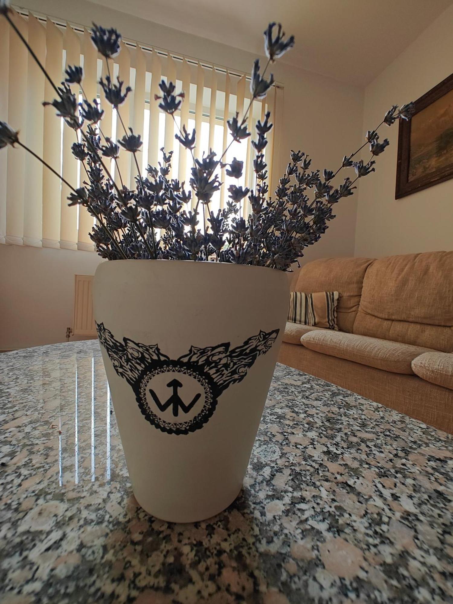 Transsylvanian Wolves Apartment Σίμπιου Εξωτερικό φωτογραφία